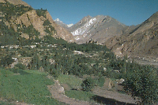 �J���}�o�[�h
