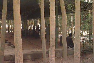 �F��j����