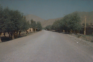 �����̗΂̑����X������