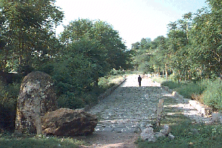 �W�����A���̈�Ղ�<br>�߂��̐Ώ�̓�