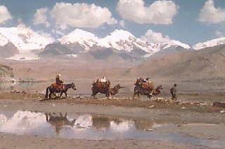 �R�Ƃ炭���ƌ΂�