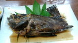 20080504初島晩ご飯1