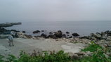 20080505初島1