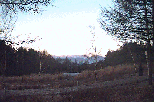 �ʑ��̌��ւ���݂����Ă�