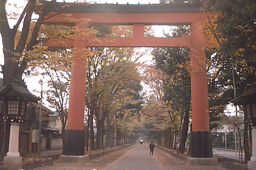 ��{�E�X��_�Ђ̒���