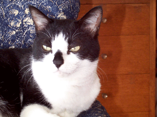 �䂪�Ƃ̒��j�E���т̎ʐ^